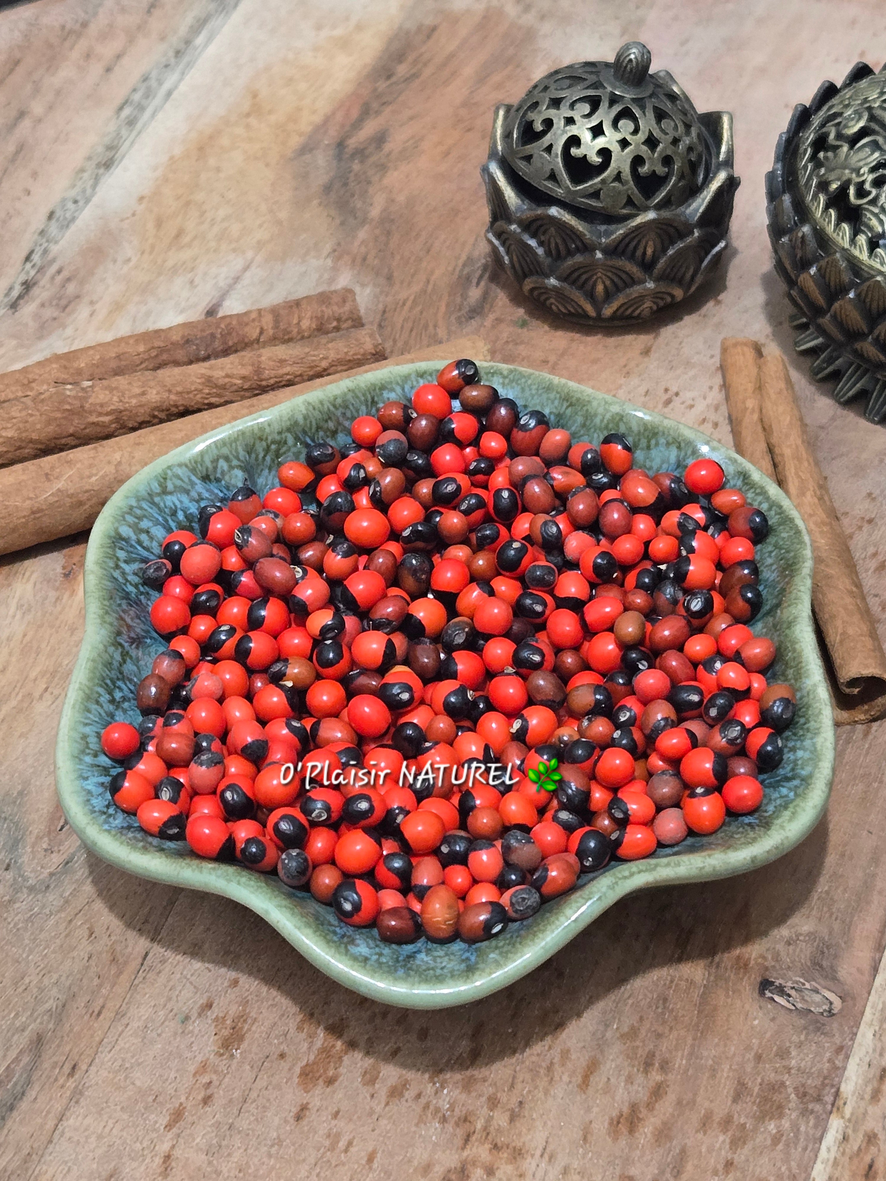 ✨ Graines Perce Goal – Œil de Crabe 20g.   Chance • Protection • Ouverture des chemins