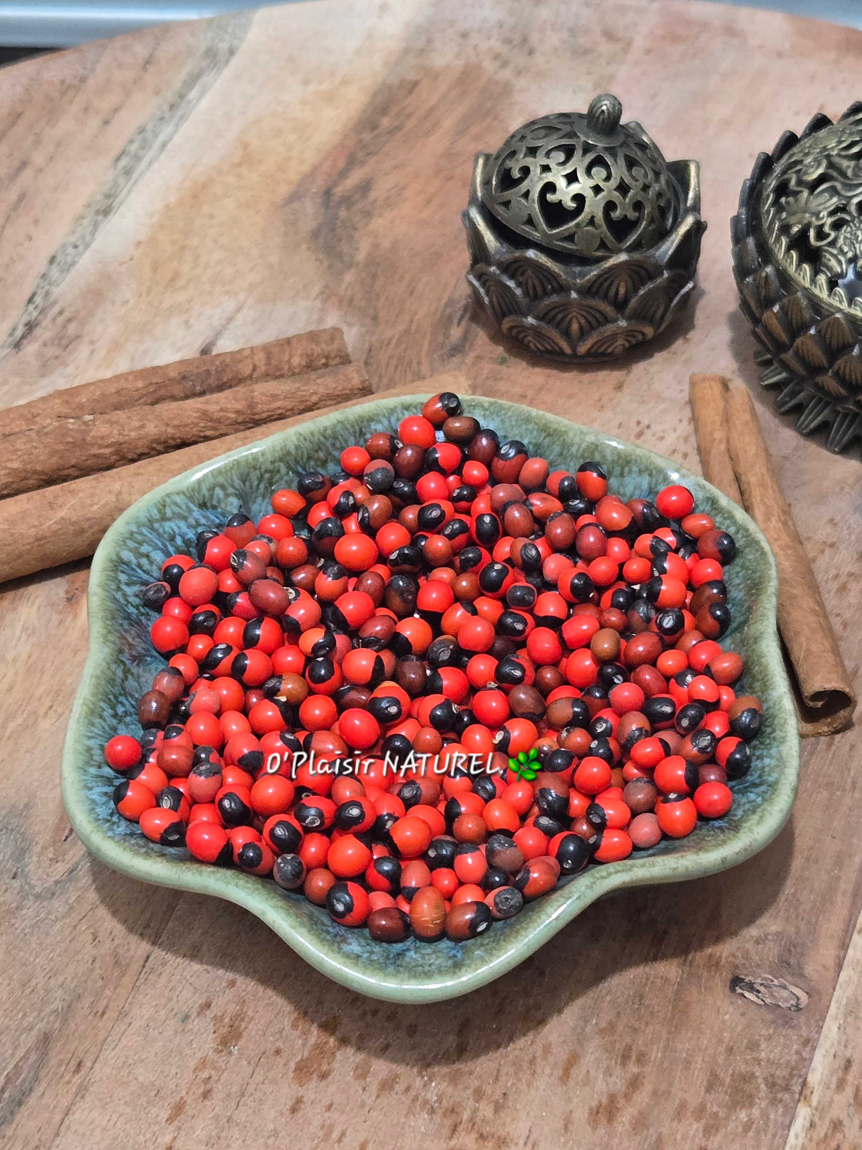 ✨ Graines Perce Goal – Œil de Crabe 20g.   Chance • Protection • Ouverture des chemins