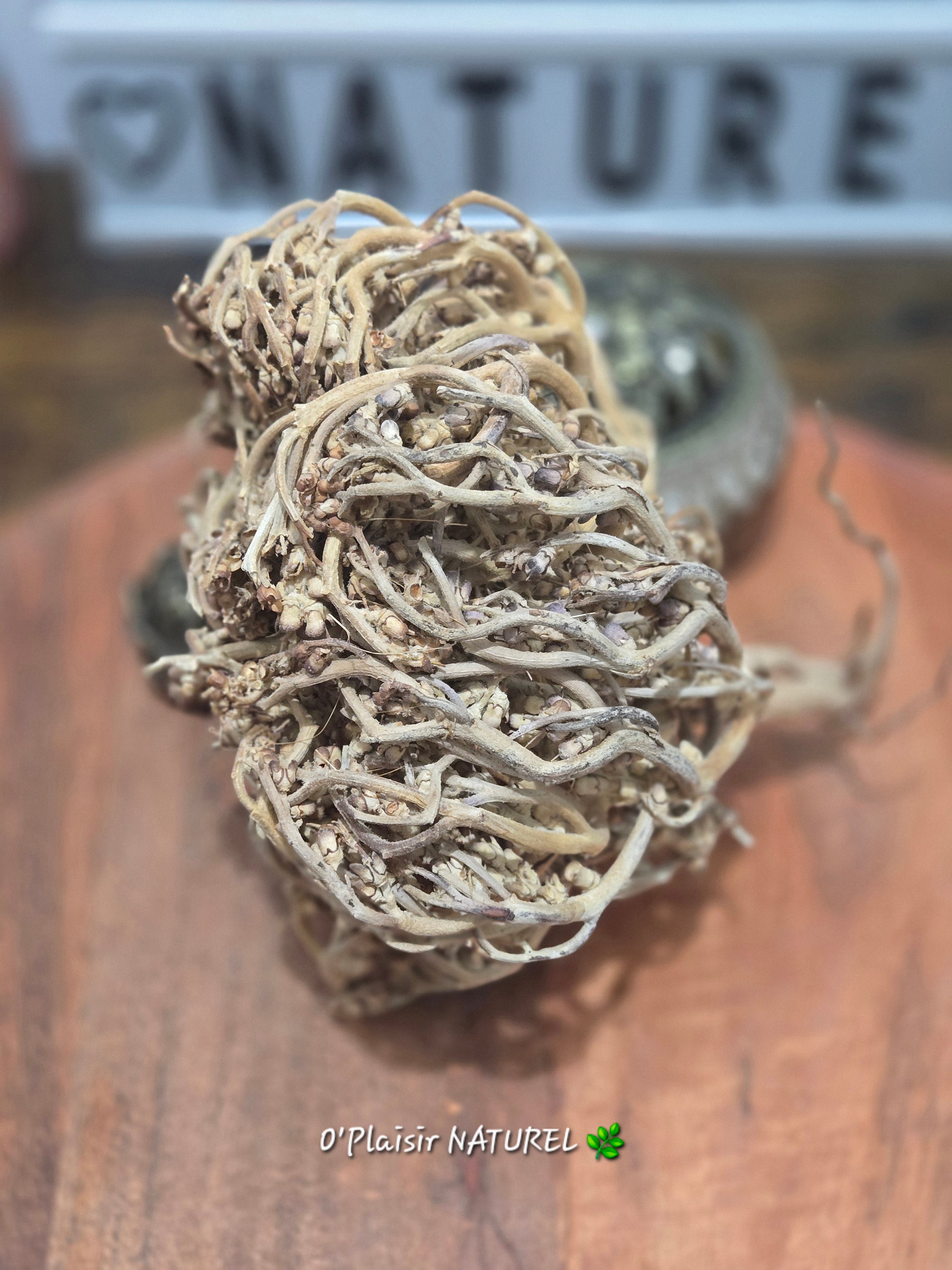 ✨ Rose de Jéricho (Fleur de Résurrection)
Fertilité • Abondance • Renaissance