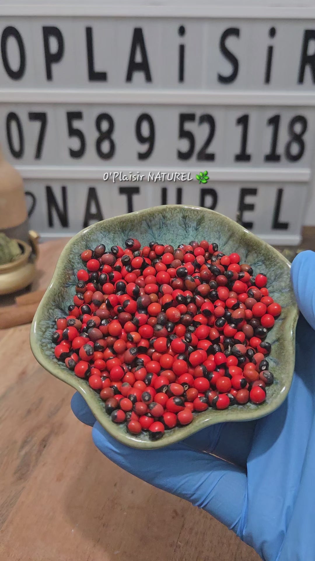 ✨ Graines Perce Goal – Œil de Crabe 20g.   Chance • Protection • Ouverture des chemins