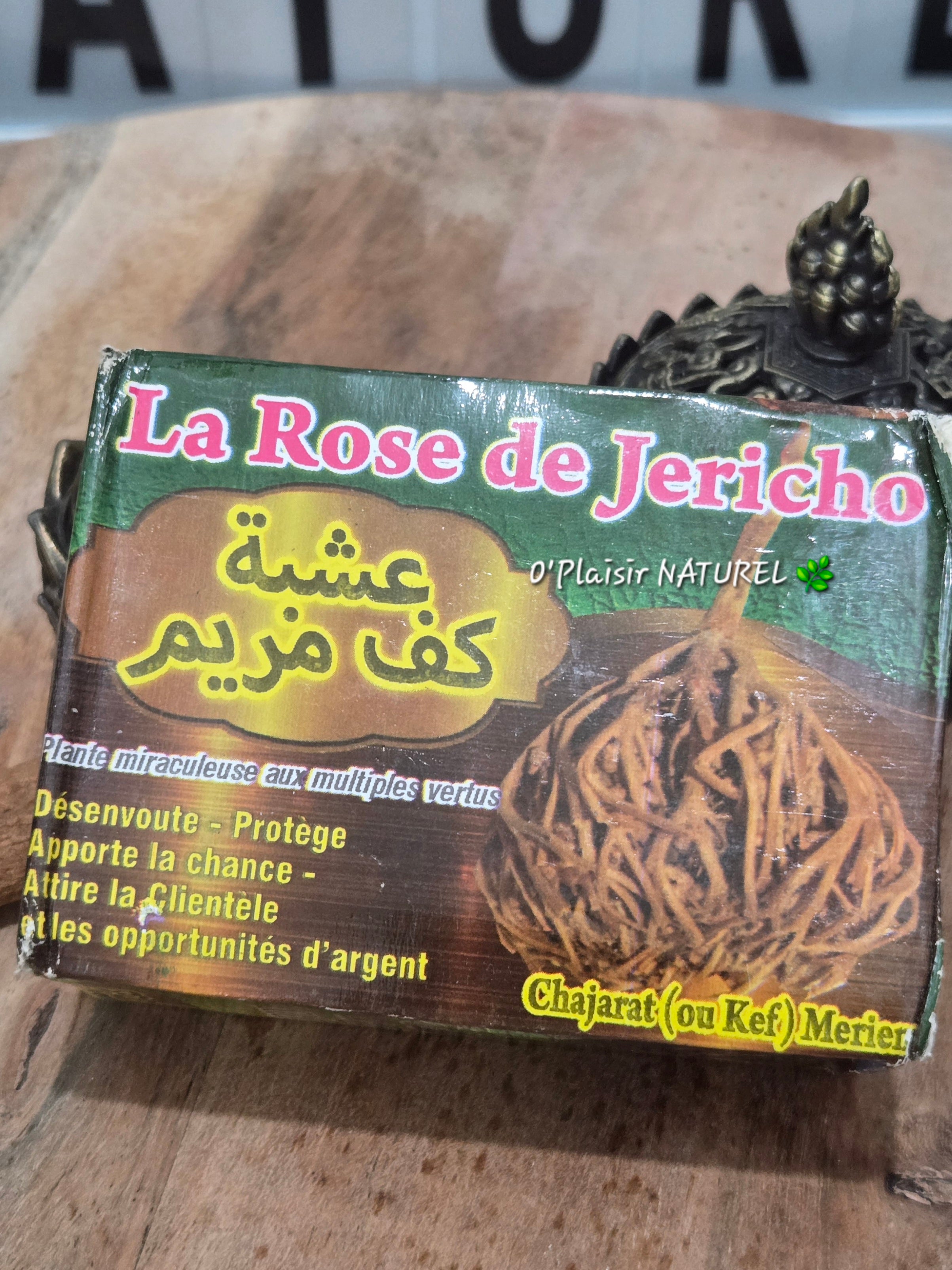 🌿✨ La Rose de Jéricho – Plante de Chance & Renouveau