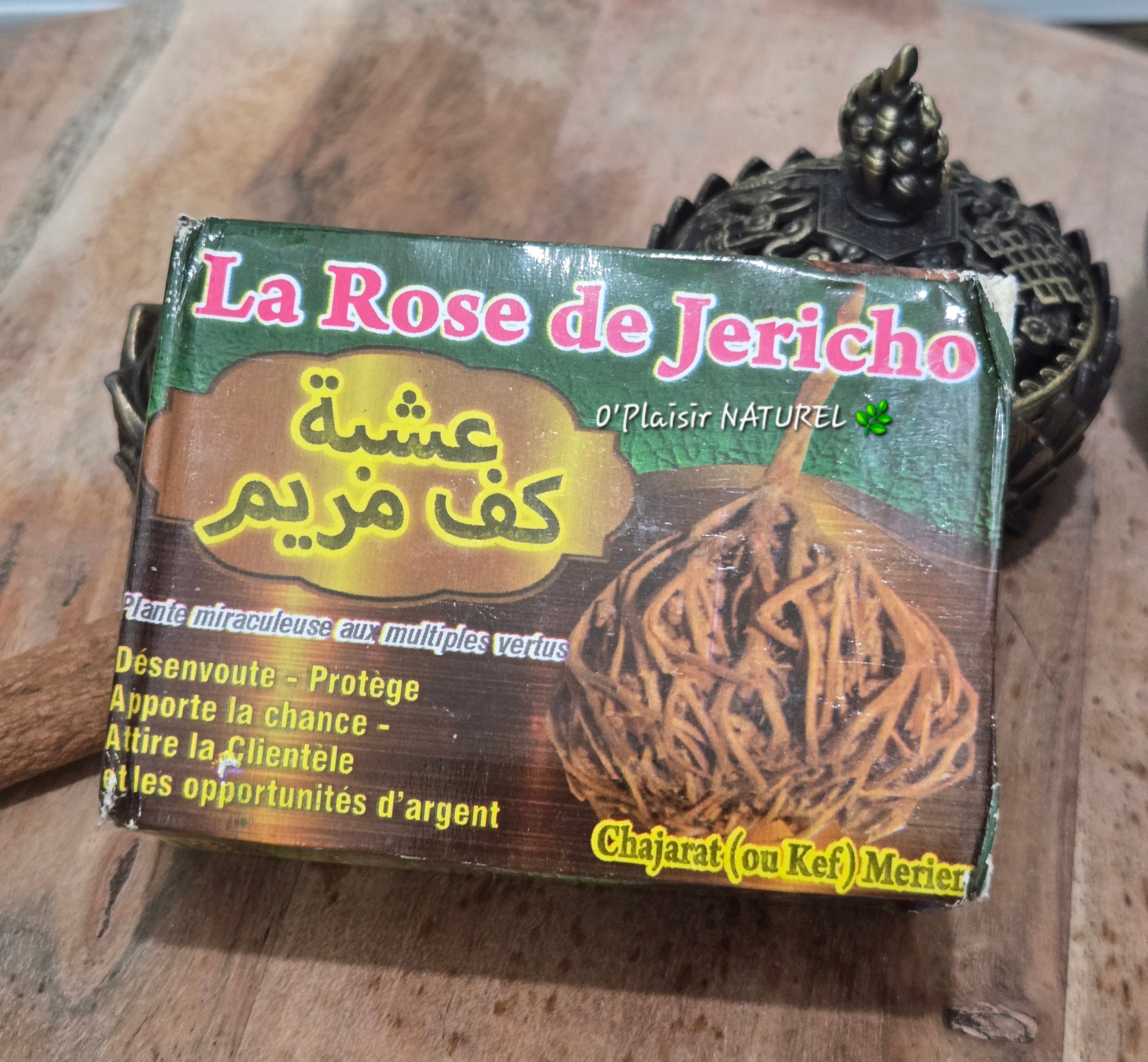 🌿✨ La Rose de Jéricho – Plante de Chance & Renouveau